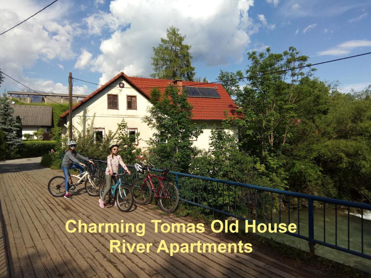 Tomas Old House - River Apartments Visoko  Ngoại thất bức ảnh